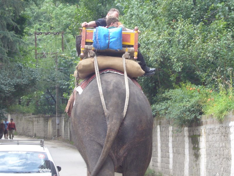 Travel - India - Himachal Pradesh - Manali